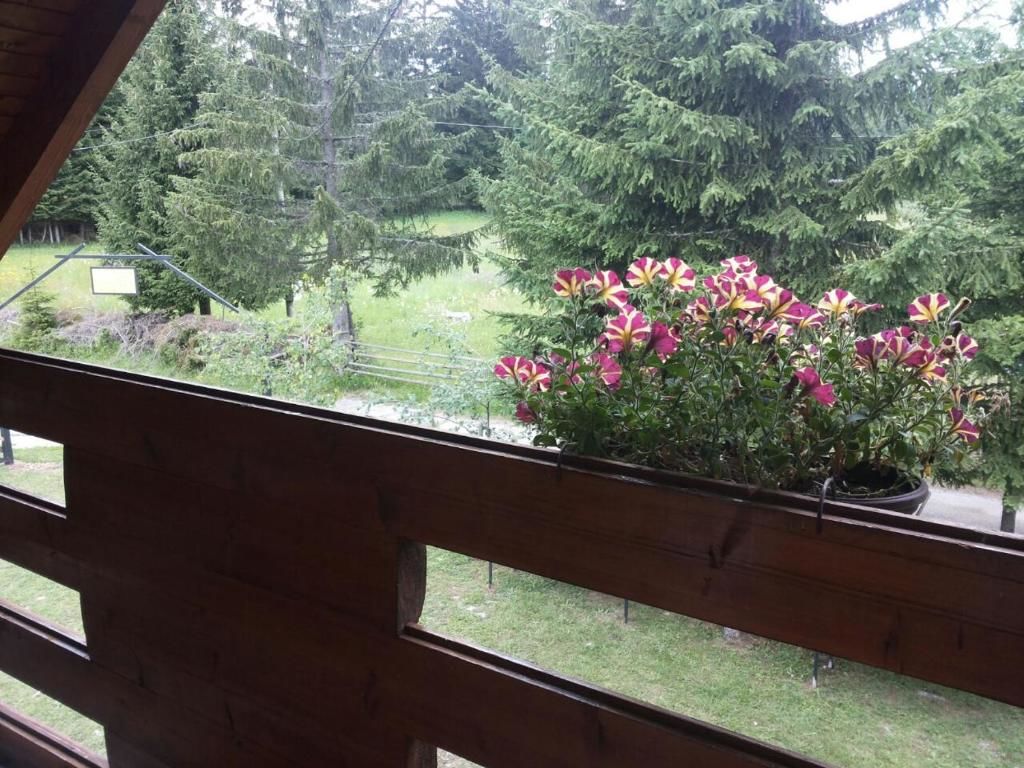 Дома для отпуска Holiday Home Stella Star Жабляк