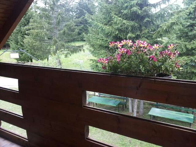 Дома для отпуска Holiday Home Stella Star Жабляк-22