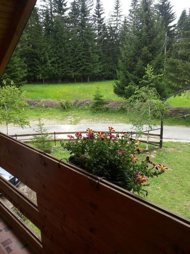 Дома для отпуска Holiday Home Stella Star Жабляк-23